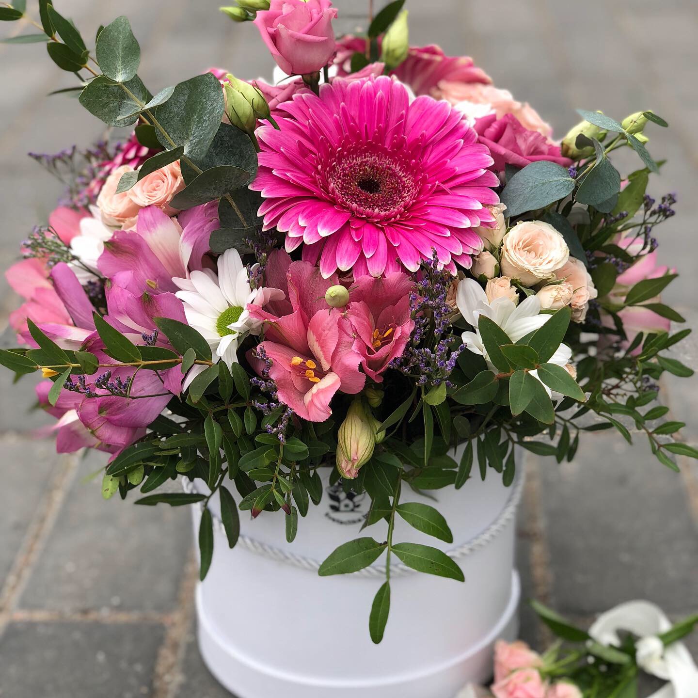 425392DD-590E-4F6E-B8D6-7F7C58F25350 425392DD-590E-4F6E-B8D6-7F7C58F25350